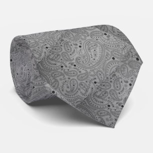 Silver Knight Paisley Tie