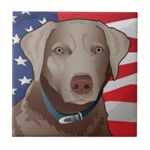 Silver Lab Retriever of America Tile