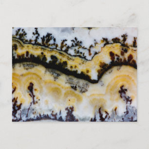 Silver Lace Onyx Postcard