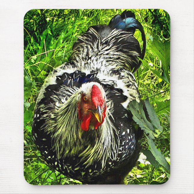 Silver Laced Wyandotte Rooster in Green Mousepad (Front)