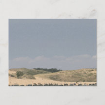 Silver Lake, Michigan Postcard