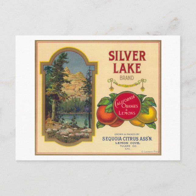 Silver Lake Orange LabelLemon Cove, CA Postcard (Front)