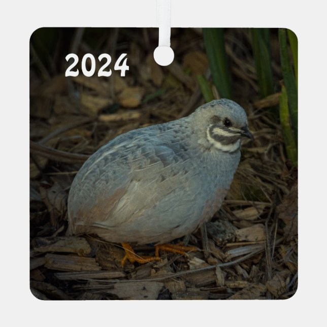 Silver Male Button Quail in the grass Metal Ornament (Back)