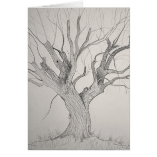 Silver Maple Card