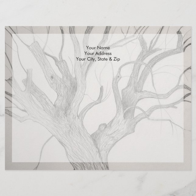 Silver Maple Letterhead (Front)