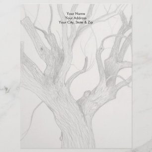 Silver Maple Letterhead