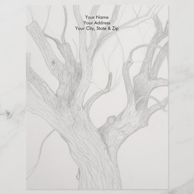 Silver Maple Letterhead (Front)