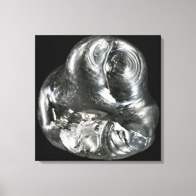 Silver metal canvas print (Front)