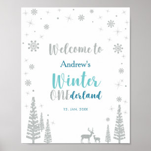 Silver Mint Winter Boy Affiche de bienvenue de fêt