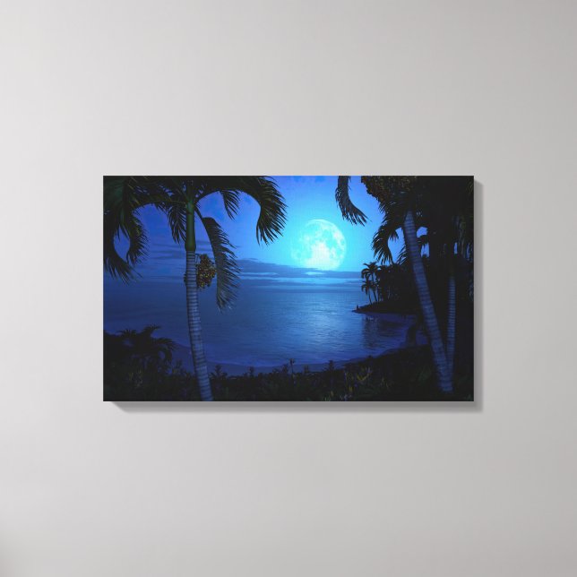 Silver Night Canvas Print (Front)