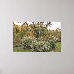 Silver Ornamental grass plants Canvas Print