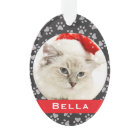 Silver Pet Paw Prints Rouges Custom Cat Photo