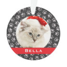 Silver Pet Paw Prints Rouges Custom Cat Photo