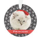 Silver Pet Paw Prints Rouges Custom Cat Photo