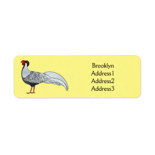 Silver pheasant bird cartoon illustration
