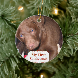 Silver Puppy My First Christmas Photo Ornaments