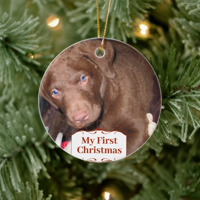 Silver Puppy My First Christmas Photo Ornaments (Tree)