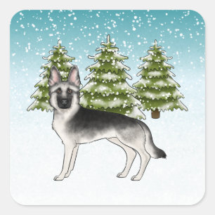 Silver Sable German Shepherd Blue Winter Forest Square Sticker