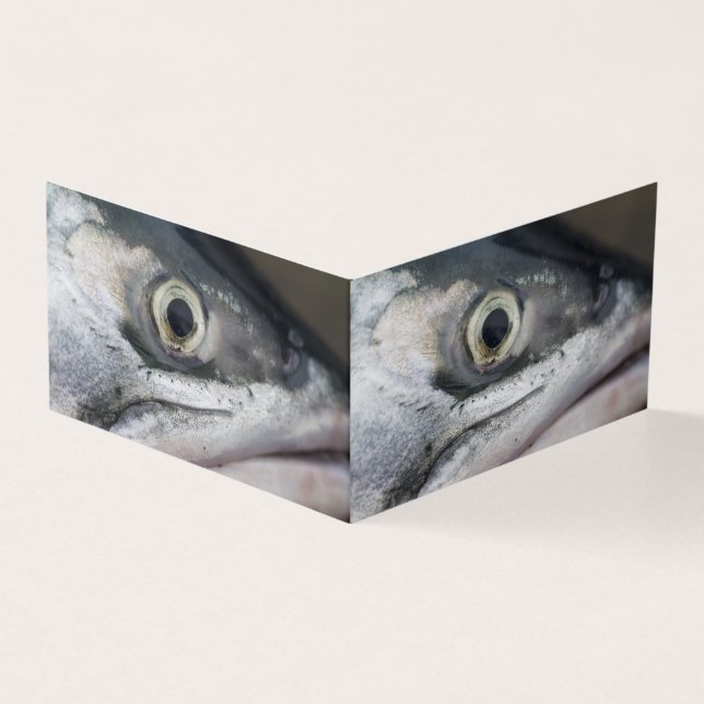 Silver Salmon Face (Outside)