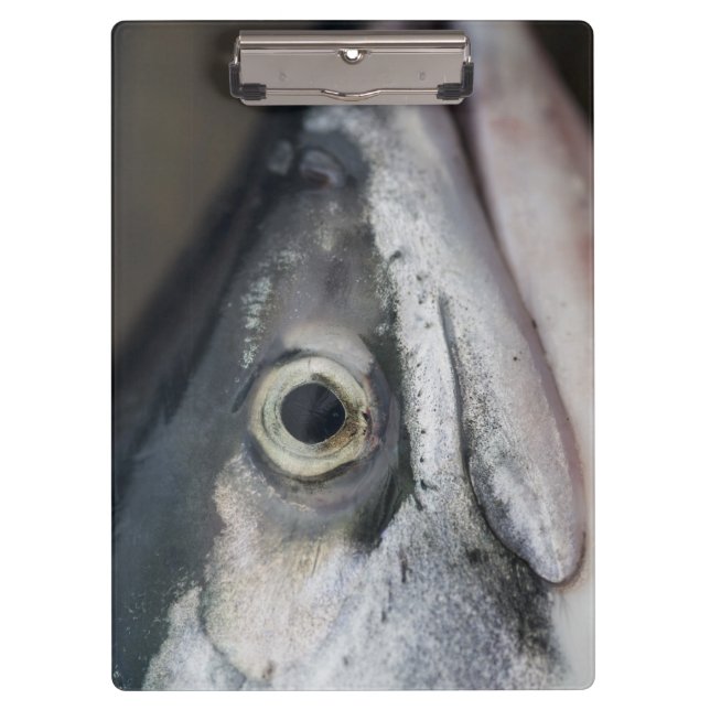 Silver Salmon Face Clipboard (Front)