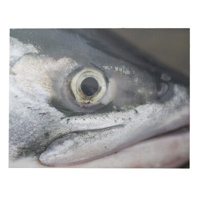 Silver Salmon Face Notepad (Front)