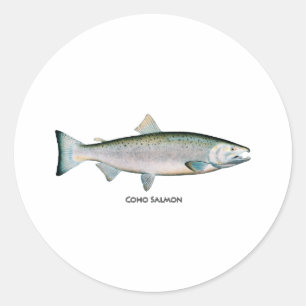 Silver Salmon (ocean phase) Classic Round Sticker