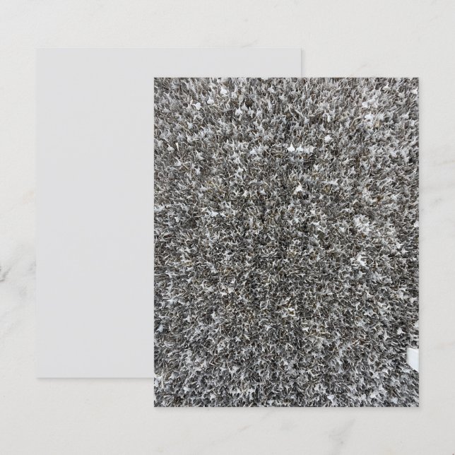Silver Shaggy petites étiquettes Papier à papier (Devant / Derrière)