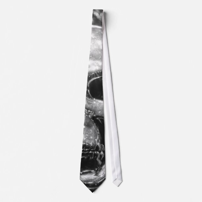 Silver Skull Tie (Front)