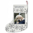 Silver Snowflake Fun Kids Or Pets Photo