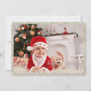 Silver Snowflakes Holiday Card