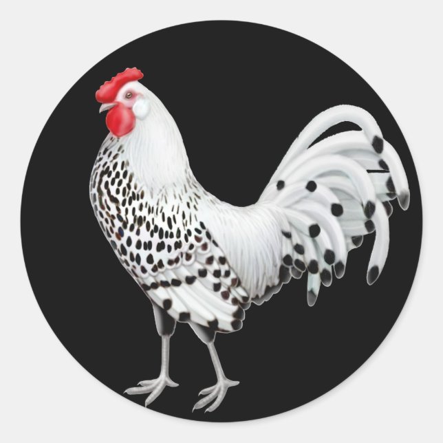 Silver Spangled Hamburg Rooster Sticker (Front)