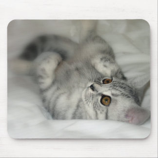 Silver spotted kitten mousepad