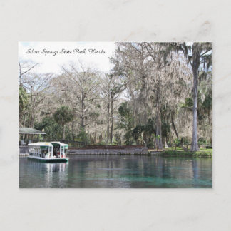 Silver Springs, Florida, Glass Bottom Boat Postcard