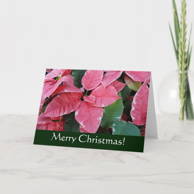 Silver Star Marble Poinsettias Christmas Card (Front)