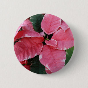 Silver Star Marble Poinsettias Pink Holiday Floral 2 Inch Round Button