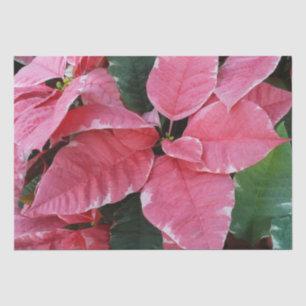 Silver Star Marble Poinsettias Pink Holiday Floral Tissue Paper