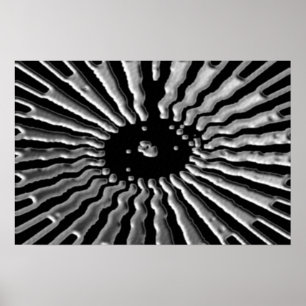 Silver Star -  Solar Plexes Poster