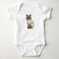 Silver Tabby Birman / Ragdoll Cat