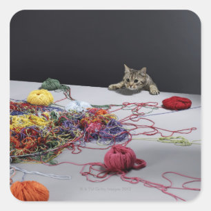 Silver tabby cat climbing over edge of table square sticker