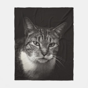 SILVER TABBY CAT FLEECE BLANKET