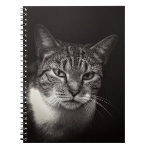SILVER TABBY CAT NOTEBOOK