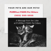 Silver Tabby Cats Pet Sitter Handout Business