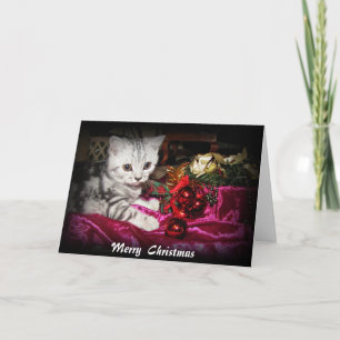 Silver tabby kitten Christmas card