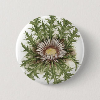 Silver Thistle Collection 2 Inch Round Button