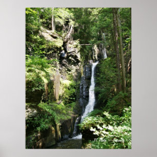 Silver Thread Falls Poster