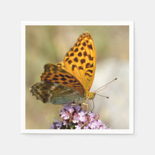 Silver-washed Fritillary butterfly on flower Napkin
