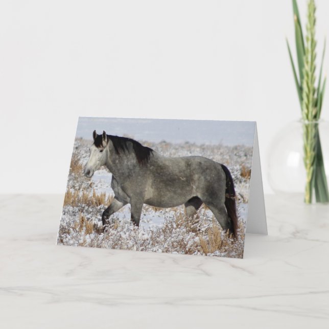 SILVER WILD HORSE OF UTAH Folded Greeting Card (Front)