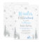 Silver Winter onederland 1st boy birthday party