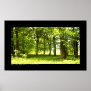 Silver Wood Poster