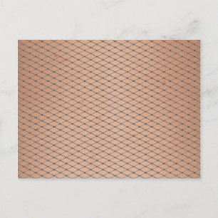 Silver Woven Fishnets With Skin Texture Postcard